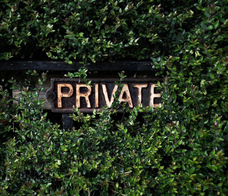 A close-up of a weathered rectangular metal sign with the word 'PRIVATE' in raised capital letters, mounted on a wooden surface partially covered by dense, green foliage with small, glossy leaves. The sign is surrounded by a black frame and appears aged, with visible rust and patina. The greenery encroaches around the sign, giving a natural, enclosed appearance typical of a private property boundary, often seen in residential garden or house removal settings. The lighting is natural, highlighting the texture of the sign and the vibrancy of the leaves, subtly reflecting the theme of protective boundaries during home relocation or furniture transport activities.