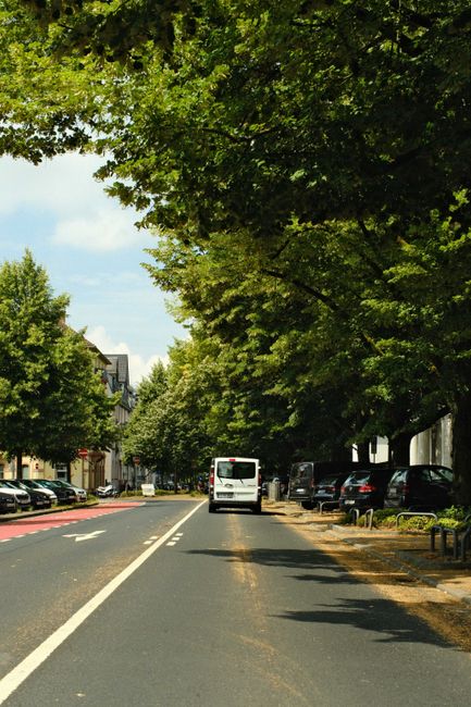 A residential street scene during daytime showing a white panel van parked on the pavement beside a curb, with several black and dark-colored cars parked along the roadside. The street is lined with large, leafy green trees providing shade over the roadway and sidewalk. The pavement is clean, and there is a designated parking area with some benches and railings. The background features residential buildings, partially obscured by the foliage. This image captures a typical home relocation environment with a van positioned for loading or unloading boxes, furniture, or other household items, in the context of moving and packing processes aligned with professional removals services offered by Man With a Van Palmers Green.