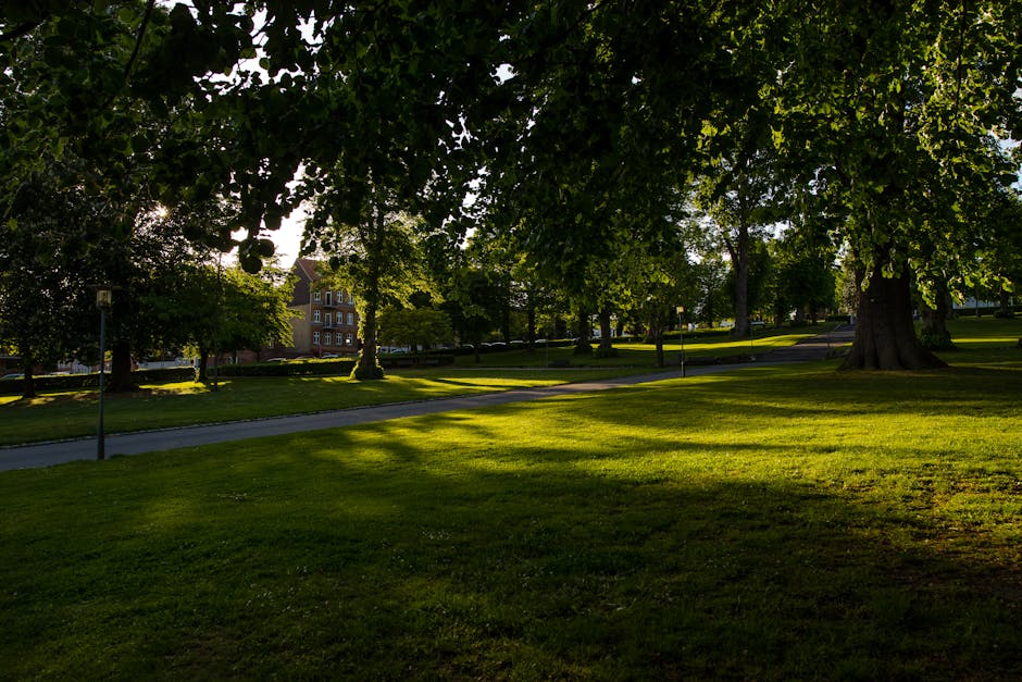 A park scene featuring a wide, grassy area with well-maintained green lawn and several mature trees with broad canopies providing shade. A paved pathway winds through the park, visible towards the middle ground, with sunlight filtering through the leaves, casting dappled shadows on the grass. In the background, there are residential buildings with brick exteriors, and a lamppost is positioned near the pathway. The overall environment appears peaceful and suitable for outdoor activities or community gatherings. This setting aligns with the context of house removals and home relocation services provided by Man With a Van Palmers Green, illustrating an outdoor environment where furniture or boxes may be loaded or unloaded during a moving process.
